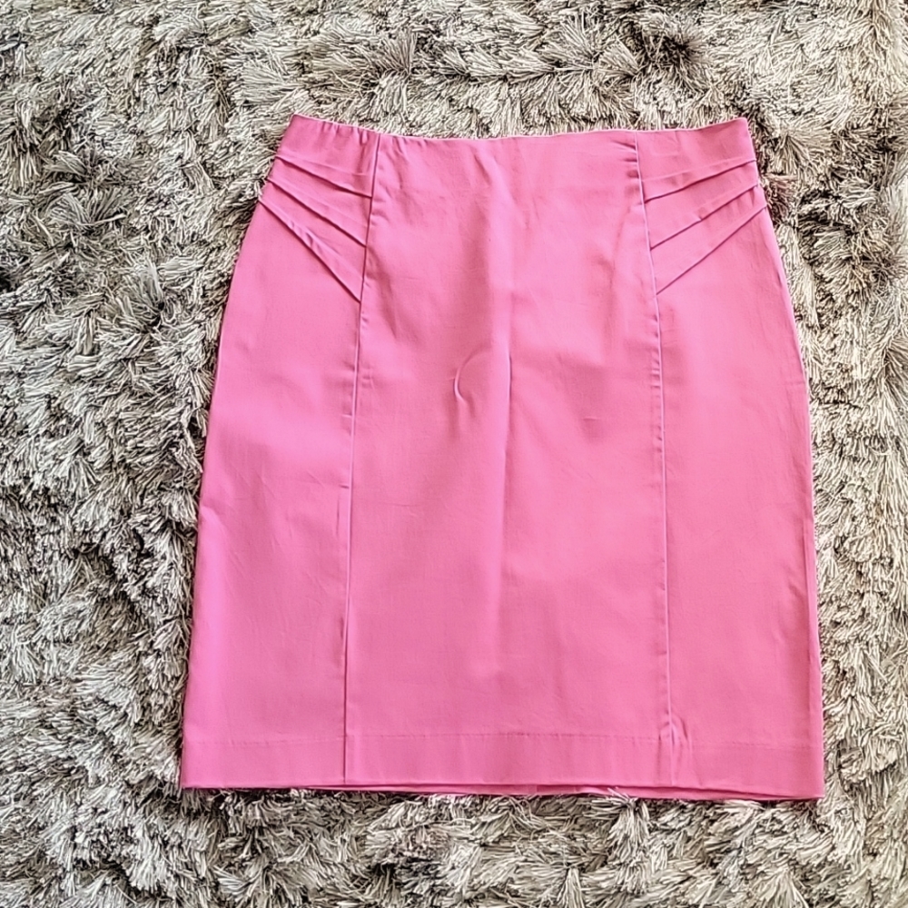 NWT - Pink Skirt
